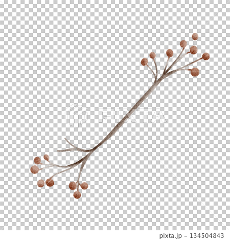 Watercolor winter berry branch for Christmas and winter designs. Suitable for cards, holiday decoration, seasonal greeting, botanical theme and cozy nursery illustration. 134504843