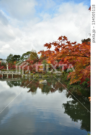 秋の永観堂禅林寺 極楽橋から眺める放生池(京都市左京区) 秋の永観堂禅林寺 極楽橋から眺める放生池(京都市左京区) 134505118