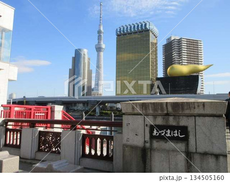 浅草!吾妻橋から東京スカイツリーを望む 浅草!吾妻橋から東京スカイツリーを望む 134505160