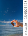 woman's hand holding an oyster shell in oil against the backdrop of the ocean and blue sky, a copy space about ocean pollution and environmental protection, vertical shot 134505423
