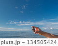 A poster of a woman's hand holding an oil-stained oyster shell against the backdrop of the ocean and blue sky, a copy space about ocean pollution and environmental protection 134505424