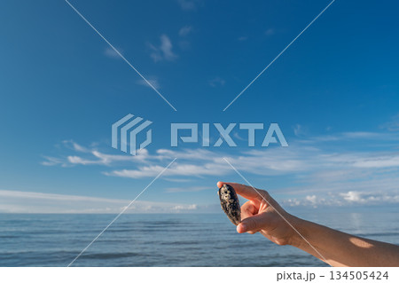 A poster of a woman's hand holding an oil-stained oyster shell against the backdrop of the ocean and blue sky, a copy space about ocean pollution and environmental protection A poster of a woman's hand holding an oil-stained oyster shell against the backdrop of the ocean and blue sky, a copy space about ocean pollution and environmental protection 134505424