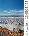 vertical shot of surf on a sandy beach, a jellyfish washed ashore after a storm, a copy space about ocean pollution and environmental protection 134505425