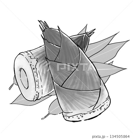 たけのこ_モノクロ 134505864