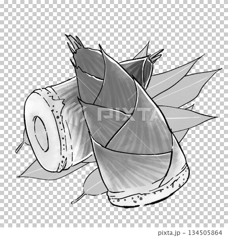 たけのこ_モノクロ 134505864