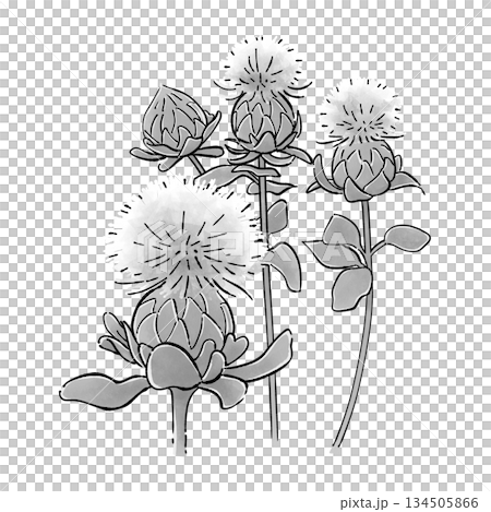 紅花單色 134505866