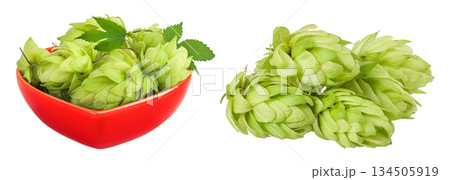 Hop cones in ceramic bowl isolated on white background. Beer brewing ingredients 134505919