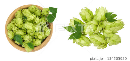 Hop cones in wooden bowl isolated on white background. Beer brewing ingredients. Top view. Flat lay Hop cones in wooden bowl isolated on white background. Beer brewing ingredients. Top view. Flat lay 134505920