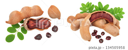 Tamarind fruit with leaf and seed isolated on white background, Top view. Flat lay Tamarind fruit with leaf and seed isolated on white background, Top view. Flat lay 134505958