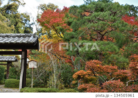 秋の即宗院 カラフルな入口付近(京都市東山区) 秋の即宗院 カラフルな入口付近(京都市東山区) 134505961
