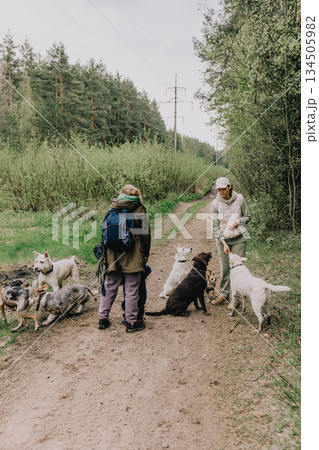 Professional dog walker. Two women are walking their dogs in forest.  134505982