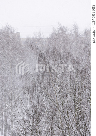snow covered urban landscape with a tall building in the background. snow covered urban landscape with a tall building in the background. 134505985