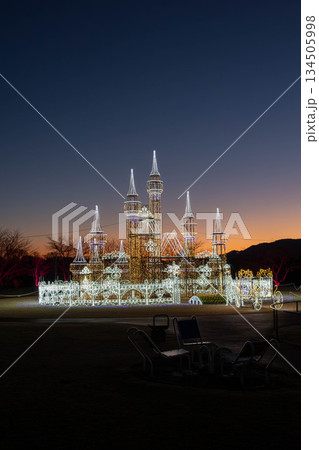 冬の夕刻　赤城健康公園のイルミネーション　群馬県渋川市 134505998