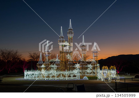 冬の夕刻　赤城健康公園のイルミネーション　群馬県渋川市 134505999