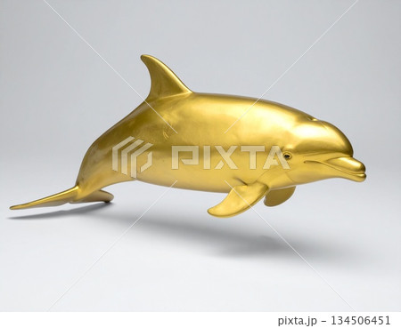 金色のイルカ 134506451