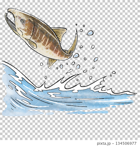 上山脊 上山脊 134506977