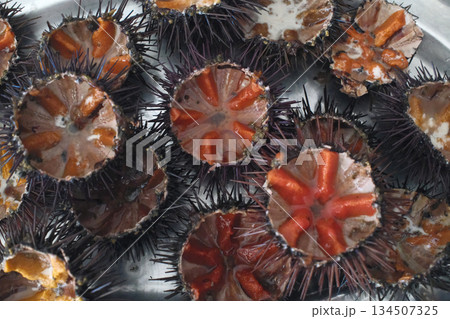fresh sea urchin as sea food cut and ready to eat fresh sea urchin as sea food cut and ready to eat 134507325