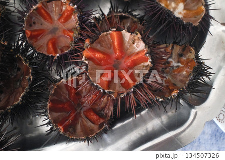fresh sea urchin as sea food cut and ready to eat 134507326