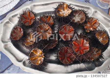 fresh sea urchin as sea food cut and ready to eat fresh sea urchin as sea food cut and ready to eat 134507327