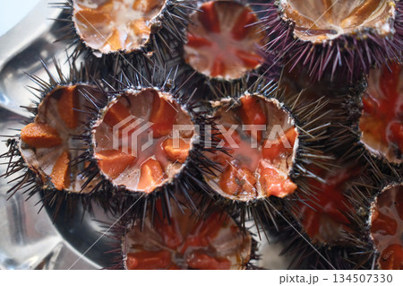 fresh sea urchin as sea food cut and ready to eat fresh sea urchin as sea food cut and ready to eat 134507330