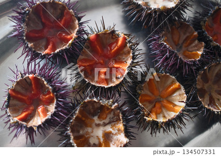 fresh sea urchin as sea food cut and ready to eat 134507331