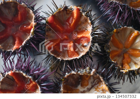 fresh sea urchin as sea food cut and ready to eat 134507332