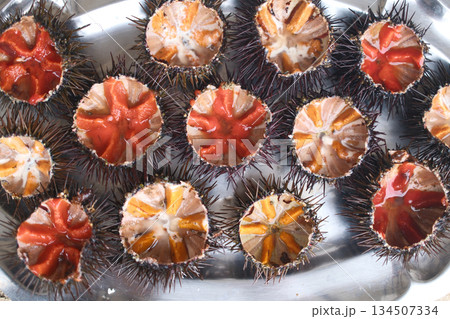 fresh sea urchin as sea food cut and ready to eat fresh sea urchin as sea food cut and ready to eat 134507334