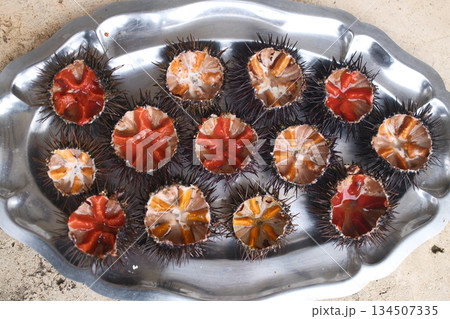 fresh sea urchin as sea food cut and ready to eat 134507335