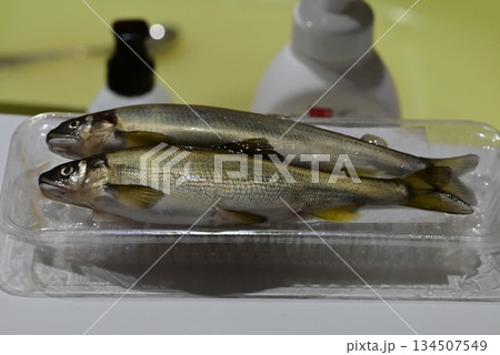 新鮮で綺麗なな鮎 134507549