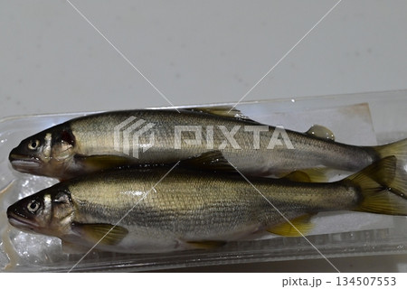 新鮮で綺麗なな鮎 134507553
