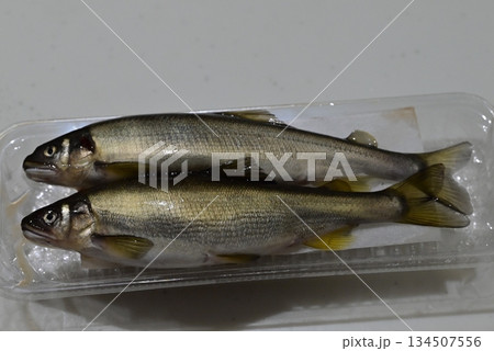 新鮮で綺麗なな鮎 134507556
