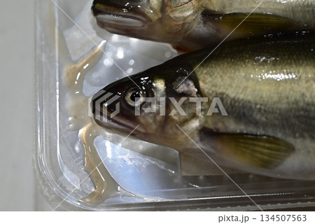 新鮮で綺麗なな鮎 134507563