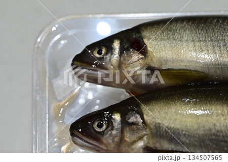 新鮮で綺麗なな鮎 134507565