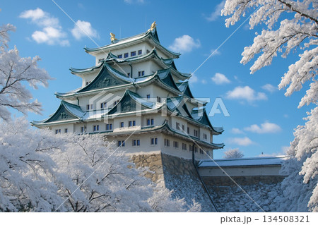 名古屋城　雪景色 134508321