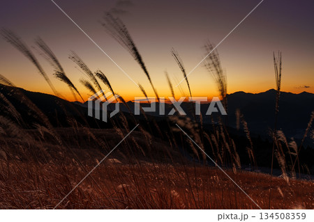 美しい夕焼け空と曽爾の山々を背景に風にそよぐすすきの穂 師走の曾爾高原にて① 美しい夕焼け空と曽爾の山々を背景に風にそよぐすすきの穂 師走の曾爾高原にて① 134508359