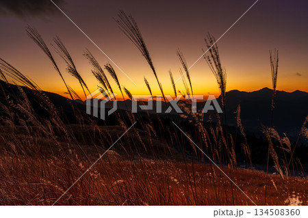 美しい夕焼け空と曽爾の山々を背景に風にそよぐすすきの穂 師走の曾爾高原にて② 美しい夕焼け空と曽爾の山々を背景に風にそよぐすすきの穂 師走の曾爾高原にて② 134508360