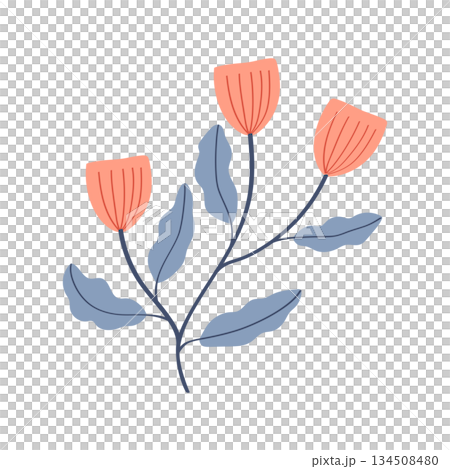 Cute Pink Flower isolated on transparent background 134508480