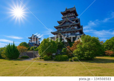 伏見桃山城　 134508583