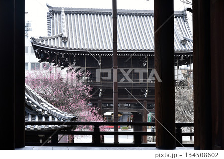 紅梅白梅の咲く山門　興正寺 134508602