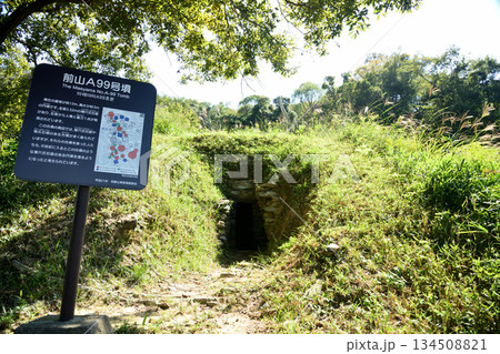 紀伊風土記の丘(前山A99号墳)　【和歌山県和歌山市】 134508821