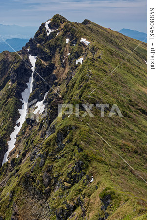 一ノ倉岳から見る初夏の谷川岳 一ノ倉岳から見る初夏の谷川岳 134508859