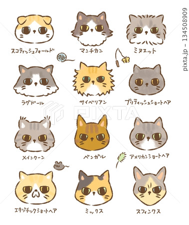 にゃんこ大集合　背景なし 134508909