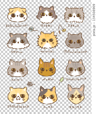 にゃんこ大集合　背景なし 134508909