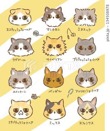 にゃんこ大集合 134508978