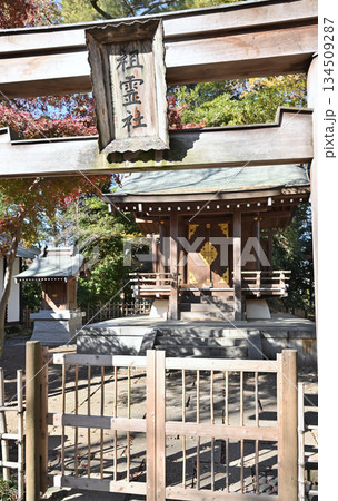 越谷散歩・久伊豆神社(越谷総鎮守) 越谷市越ヶ谷 越谷散歩・久伊豆神社(越谷総鎮守) 越谷市越ヶ谷 134509287