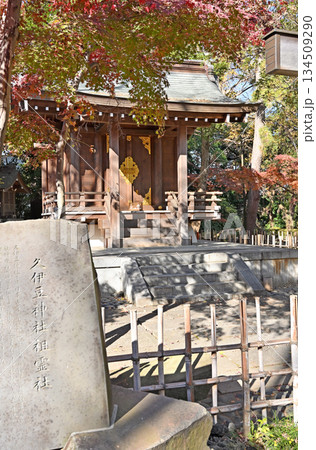 越谷散歩・久伊豆神社(越谷総鎮守) 越谷市越ヶ谷 越谷散歩・久伊豆神社(越谷総鎮守) 越谷市越ヶ谷 134509290
