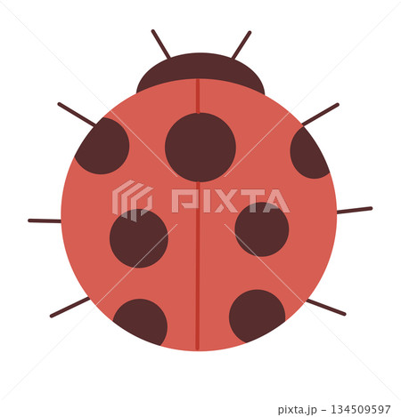 可愛い赤いてんとう虫のイラスト 幸運を運ぶ虫のシンボル素材 可愛い赤いてんとう虫のイラスト 幸運を運ぶ虫のシンボル素材 134509597