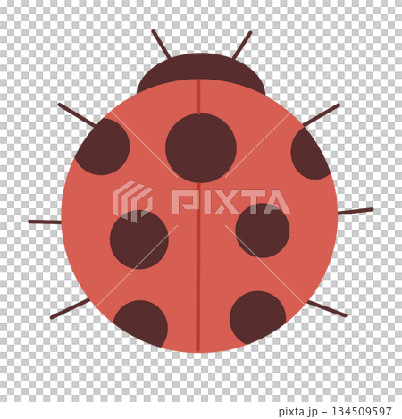 可愛的紅色瓢蟲插圖。象徵好運。 可愛的紅色瓢蟲插圖。象徵好運。 134509597