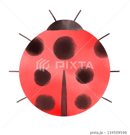 可愛い赤いてんとう虫のイラスト 水彩風 幸運を運ぶ虫のシンボル素材 可愛い赤いてんとう虫のイラスト 水彩風 幸運を運ぶ虫のシンボル素材 134509598