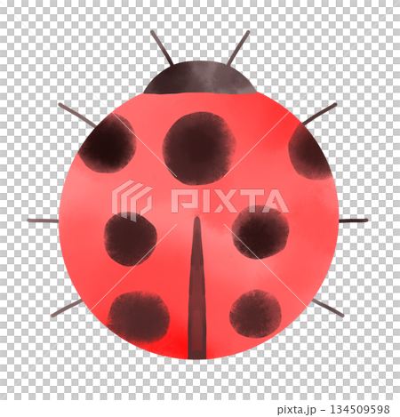 可愛い赤いてんとう虫のイラスト 水彩風 幸運を運ぶ虫のシンボル素材 可愛い赤いてんとう虫のイラスト 水彩風 幸運を運ぶ虫のシンボル素材 134509598